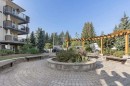 417-2565 Campbell Avenue, Abbotsford, BC 