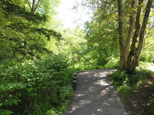 24-9036 208 Street, Langley, BC 