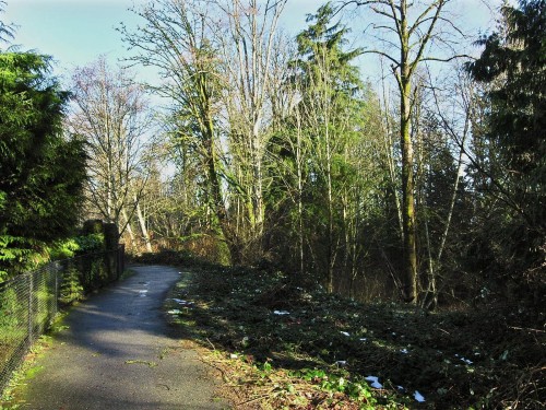 24-9036 208 Street, Langley, BC 