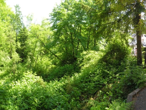 24-9036 208 Street, Langley, BC 