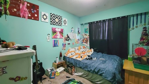 20567 42 Avenue, Langley, BC 