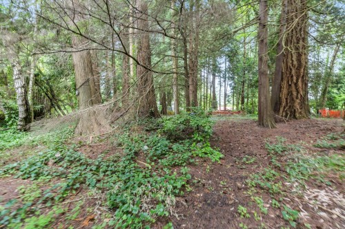 12587 23 Avenue, Surrey, BC 