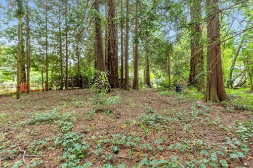 12587 23 Avenue, Surrey, BC 