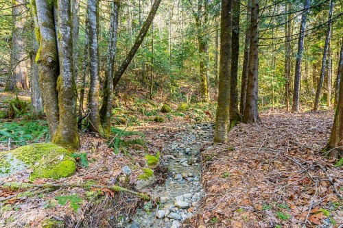 36351 Ridgeview Road, Mission, BC 