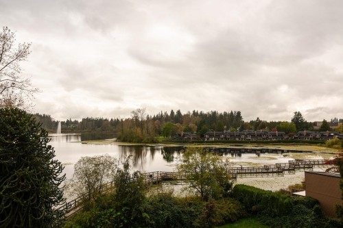 203-33160 Plaxton Crescent, Abbotsford, BC 