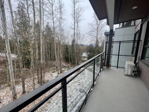 311-3182 Gladwin Rd, Abbotsford, BC 