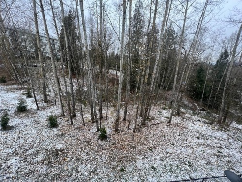 311-3182 Gladwin Rd, Abbotsford, BC 