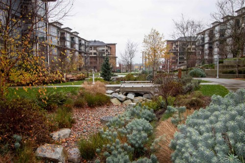 109-8526 202B Street, Langley, BC 