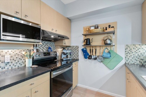 102-20228 54Th Avenue, Langley, BC 