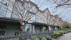 31-8138 204 Street  Langley, BC V2Y 0T4