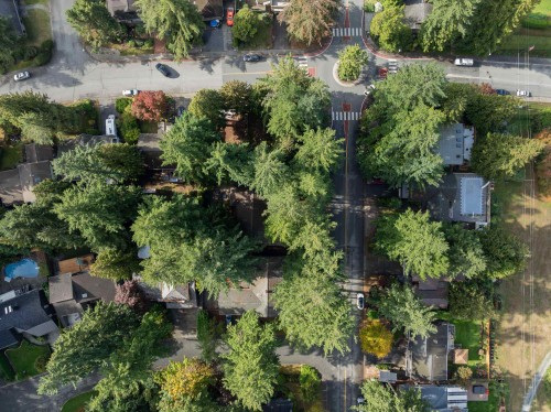 11134 Lyon Road, Delta, BC 