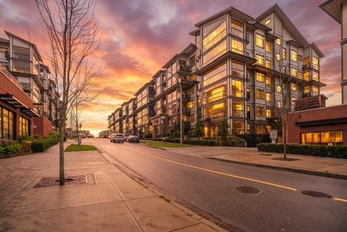 309-8561 203A Street E, Langley, BC 