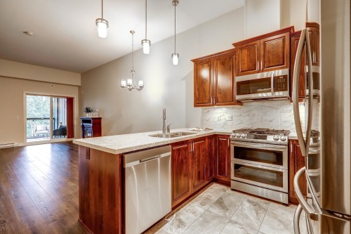 617-20376 86 Avenue, Langley, BC 