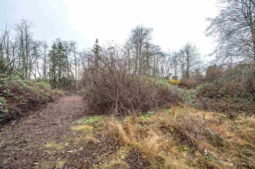 3011 184 Street, Surrey, BC 