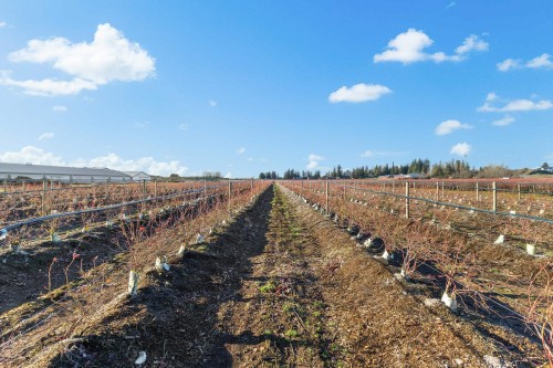 1283 Gladwin Road, Abbotsford, BC 