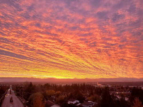 503-19228 64 Avenue, Surrey, BC 