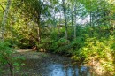 3684 Cobblestone Drive, Abbotsford, BC 