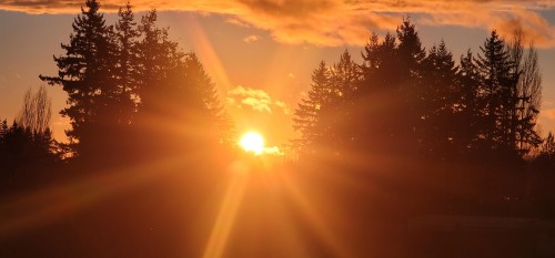 516-27218 Aldergrove Town Center Drive, Langley, BC 