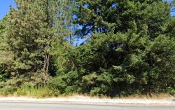 12739 Crescent Road  Surrey, BC V4A 2V6