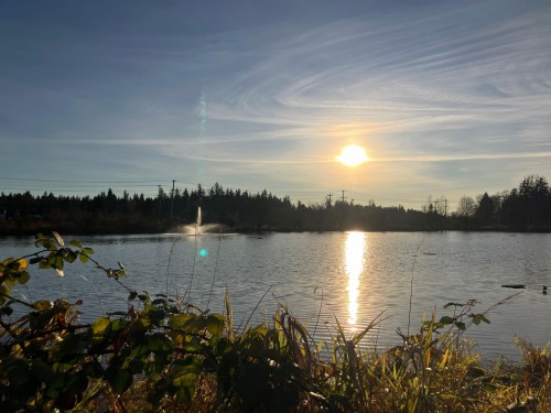 5259 197A Street, Langley, BC 