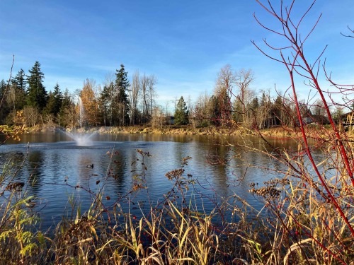 5259 197A Street, Langley, BC 