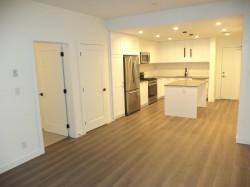 305-20052 83a Avenue  Langley, BC V2Y 3P4