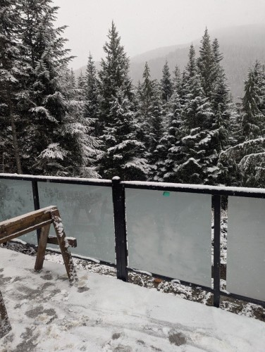 20458 Edelweiss Drive, Agassiz, BC 