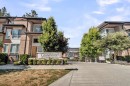 31-15775 Mountain View Drive, Surrey, BC 