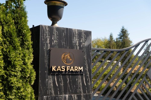 5986 232 Street, Langley, BC 