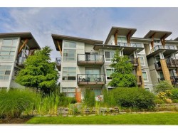 311-6688 120 Street  Surrey, BC V3W 1T8