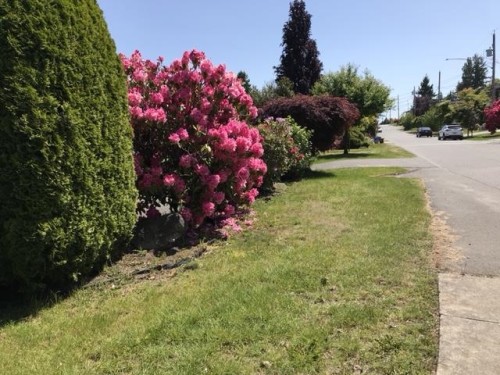 1388 Lee Street, White Rock, BC 