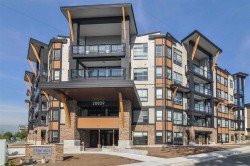 216-20829 77a Avenue  Langley, BC V2Y 0Y5