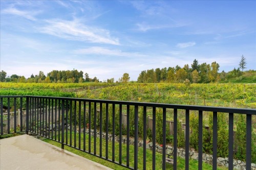 2203 Riesling Drive, Abbotsford, BC 