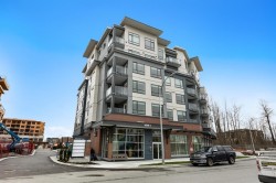 316-7920 206 Street  Langley, BC V2Y 3X1