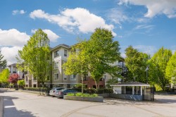 C402-8929 202 Street  Langley, BC V1M 0B4