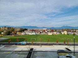 A327-20727 Willoughby Town Centre Drive  Langley, BC V2Y 3N1