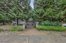 214-12088 66 Avenue Street  Surrey, BC V3W 1Z9