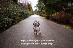 A200-20087 68 Avenue  Langley, BC V2Y 0Y2