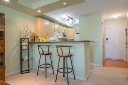 303-20200 56 Avenue  Langley, BC V3A 8S1