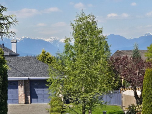 16481 86 Avenue, Surrey, BC 