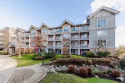 407-6450 194 Street  Surrey, BC V4N 6J8