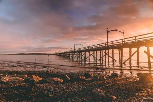 204-15233 Pacific Avenue, White Rock, BC 