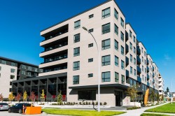 420-8509 158 Street  Surrey, BC V4N 5A4