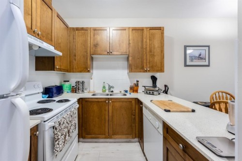 519-13277 108 Avenue, Surrey, BC 