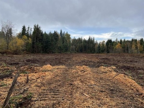 8295 264 Street, Langley, BC 