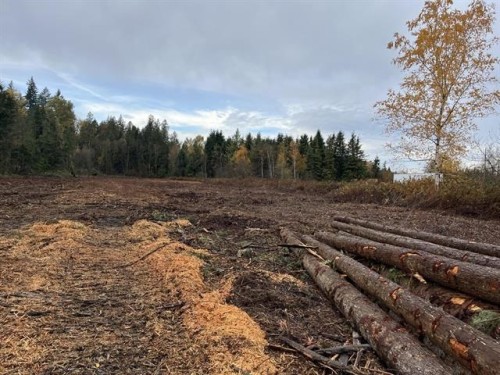 8295 264 Street, Langley, BC 