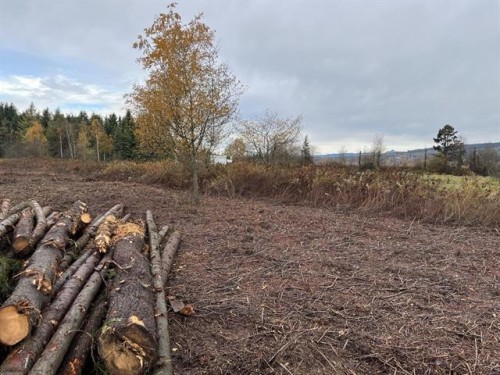 8295 264 Street, Langley, BC 