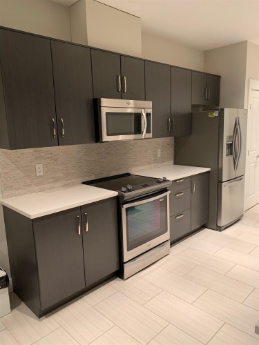 219-20728 Willoughby Town Centre Drive, Langley, BC 