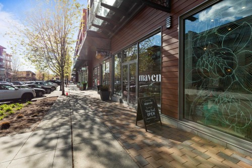 219-20728 Willoughby Town Centre Drive, Langley, BC 