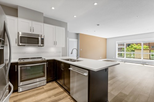 219-20728 Willoughby Town Centre Drive, Langley, BC 